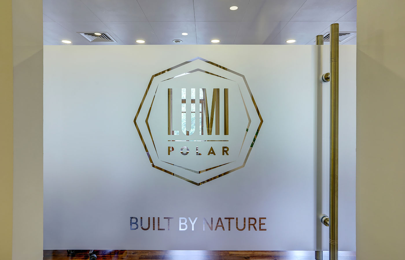 Логтип финской компании Lumi Polar на двери