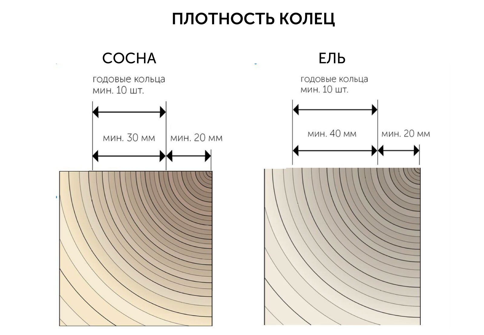 Плотность колец древесины сосны и ели